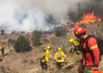 Permanecen trabajos para controlar incendio forestal