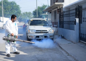 Inicia campaña de fumigación para combatir el mosco transmisor 