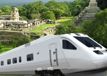 Juez otorga suspensión definitiva en Tramo 5 del Tren Maya