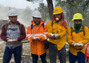 Se acaba este incendio