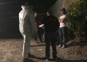 Muere al caer de una palmera