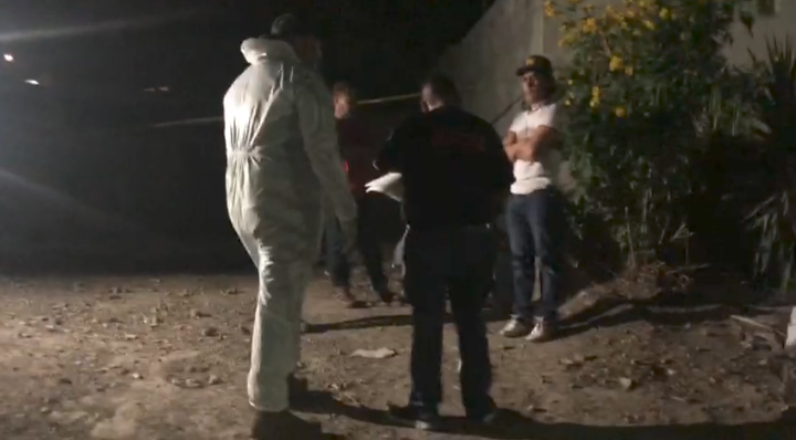 Muere al caer de una palmera