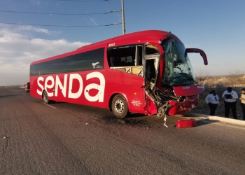 Queda libre chófer de autobús que mató a una persona en accidente