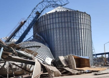 Colapsan silos de maíz en Torreón; queda una persona atrapada