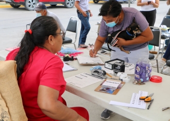 Esterilizaciones gratuitas en el Centro de Control Canino