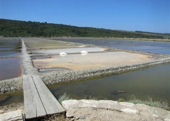 El norte de Hermosillo, sin agua potable; la presa se secó