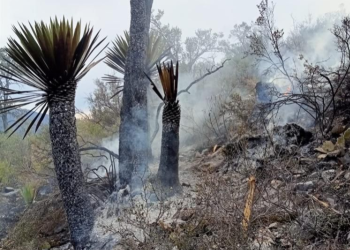 ¿Otro incendio?