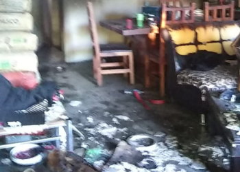 El otro lado de la riña en María León
