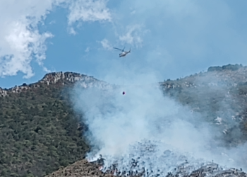Liquidan incendio forestal