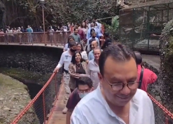 Personas heridas tras desplomarse puente colgante en Cuernavaca; señalan supuesto boicot