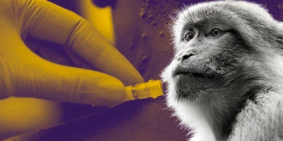 Confirman en el segundo caso de viruela del mono en la Ciudad de México
