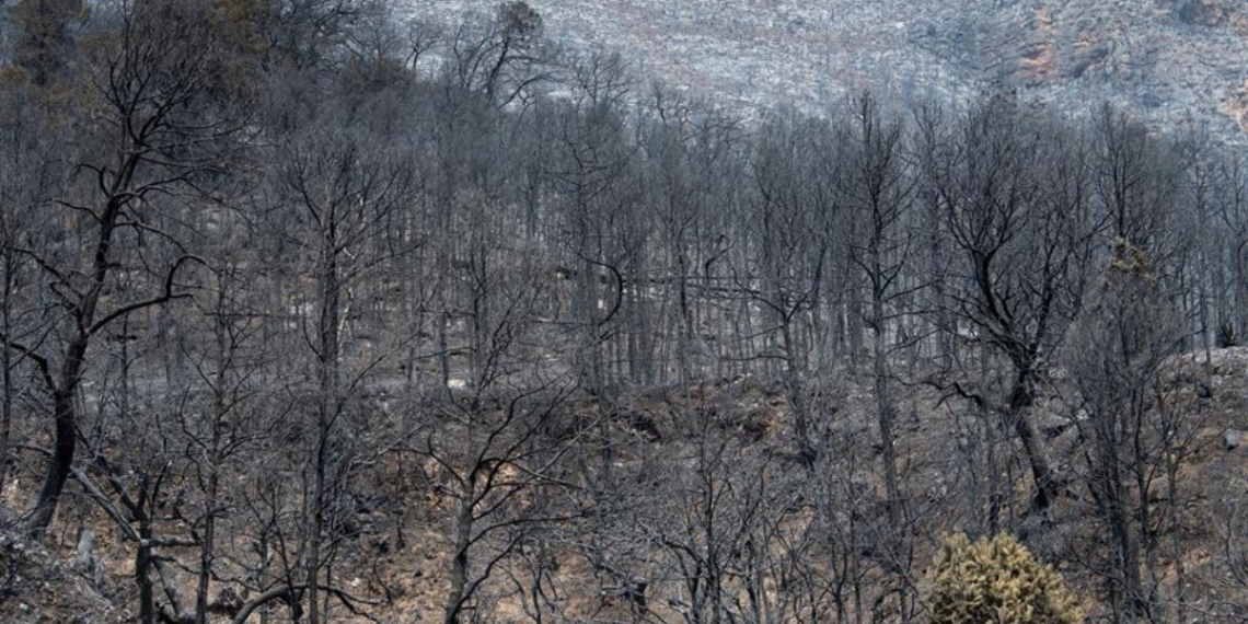 Sigue alerta máxima por riesgo de incendios en Arteaga