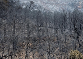 Sigue alerta máxima por riesgo de incendios en Arteaga