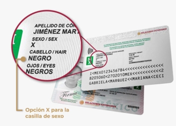 SRE lanza el primer documento oficial para personas no binarias
