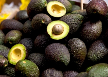 Se une Jalisco a la exportación de Aguacate