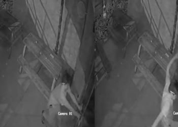 Ladrones roban y ocasiona daños en restaurant-bar