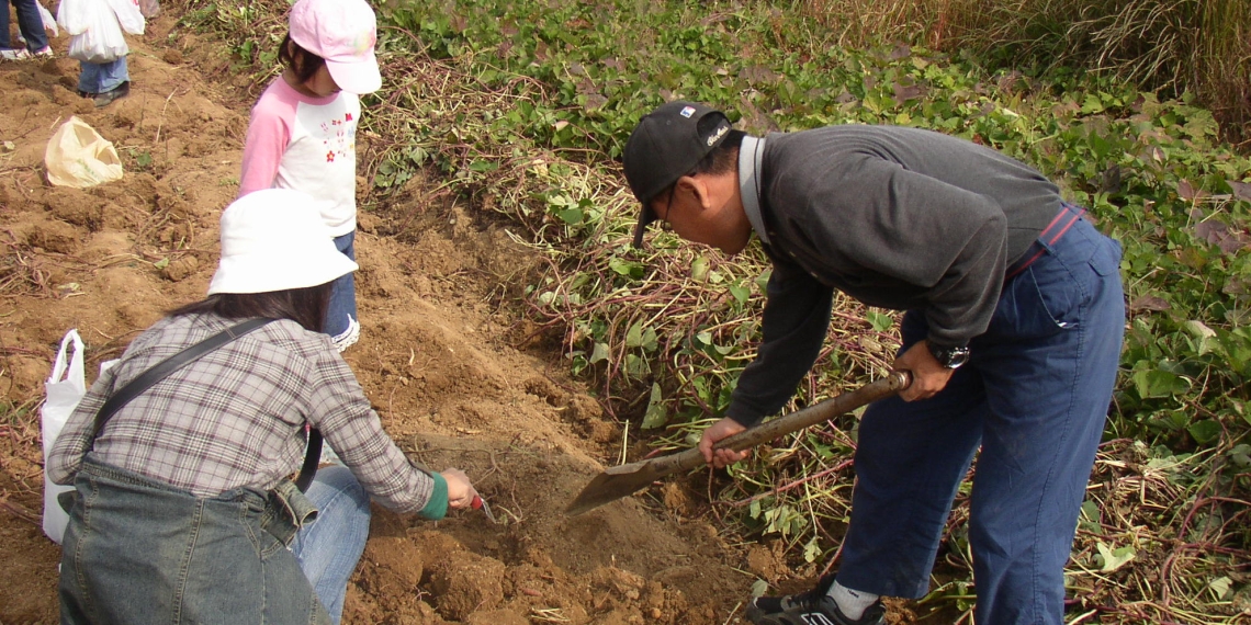 Programa Sembrando Vida reforesta en Durango