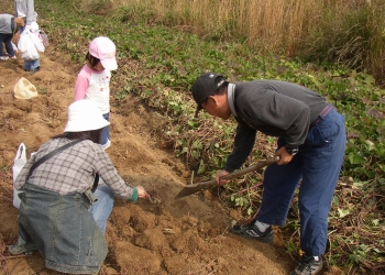 Programa Sembrando Vida reforesta en Durango
