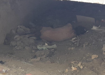 Desconocen identidad de indigente encontrado muerto bajo un puente