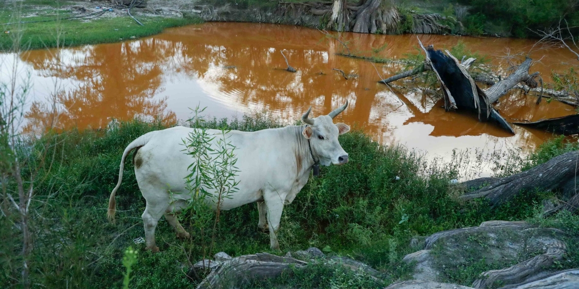 Analizan agua el Rio Sabinas: Descartan riesgo para personas y animales