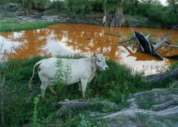 Analizan agua el Rio Sabinas: Descartan riesgo para personas y animales