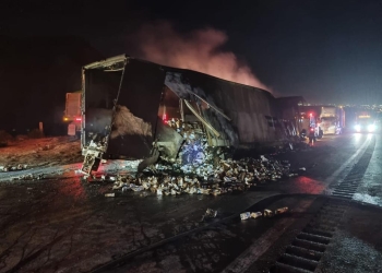 Nueve caballos mueren calcinados