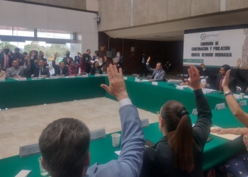 Vetan a “Alito” de presidencia de Comisión de Gobernación y ponen a diputada de Morena