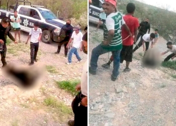 Procuraduría de protección al ambiente de Coahuila interpone denuncia por muerte de osezno