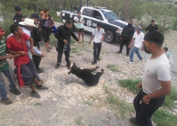 7 imputados por matar osa