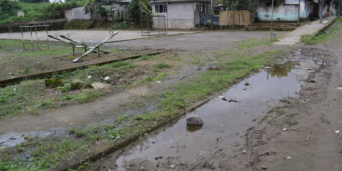 Preocupa a vecinos reaparición de mosquitos