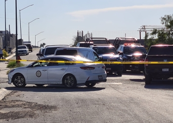 Sacrifican a perros que atacaron y mataron a sexagenario