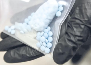 No hay decesos por sobredosis ni distribución de fentanilo