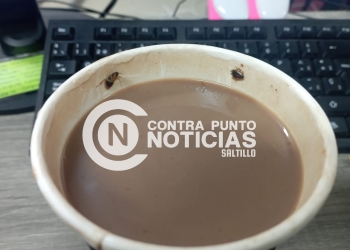 Le venden chocolate ¡con cucarachas!