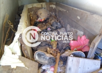 Profanan panteón en Parras de la Fuente