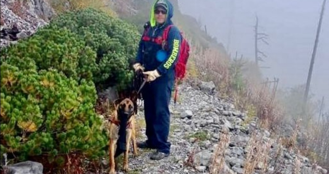 Refuerzan labores de búsqueda con perros k9