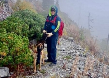 Refuerzan labores de búsqueda con perros k9