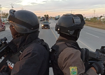 Buscarán que halcones sean vinculados a proceso