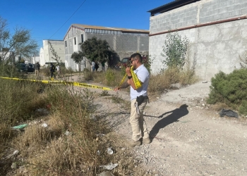 Muere tras profunda depresión