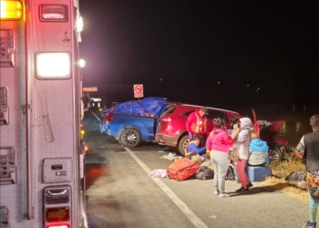 Por una vaca se genera accidente