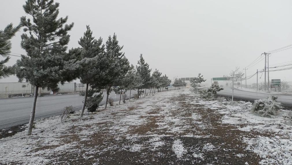 Cae nieve en la región sureste de Coahuila