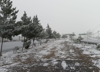 Cae nieve en la región sureste de Coahuila