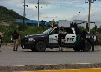 Lo encuentran colgado de un árbol en el interior de un rancho