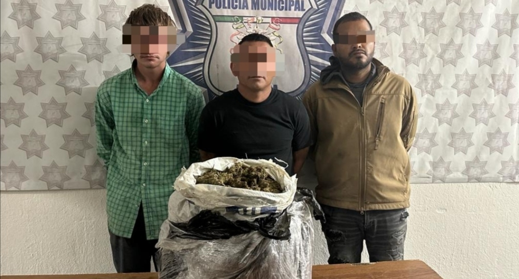 Decomisan marihuana en Arteaga