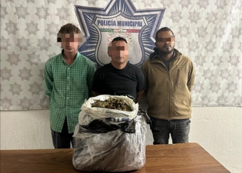 Decomisan marihuana en Arteaga