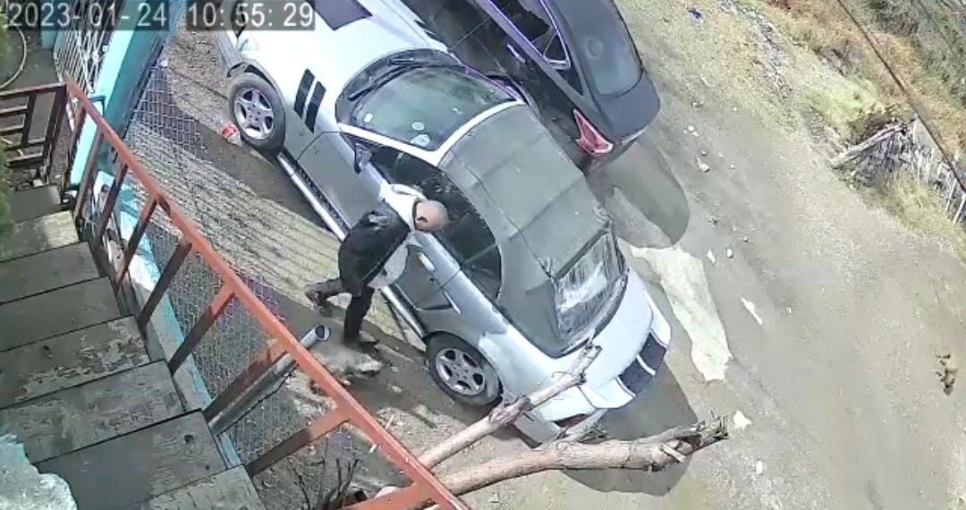 Defensa de sujeto que agredió a perro podría solicitar suspensión del proceso