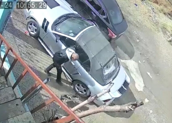 Juez vincula a proceso a responsable de agredir a un perro