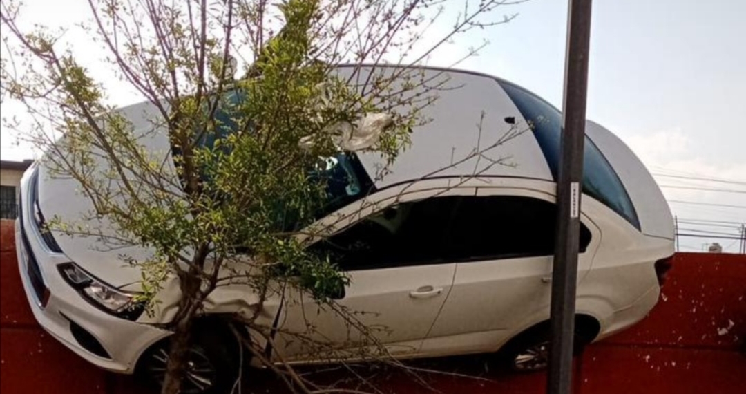 De buenas que había un árbol y un poste