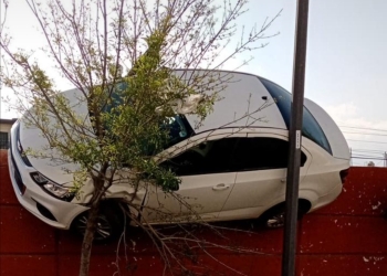 De buenas que había un árbol y un poste