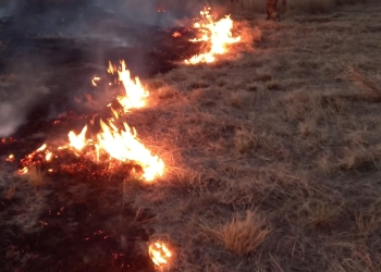 Fuego consume más de una hectárea del Bosque Urbano