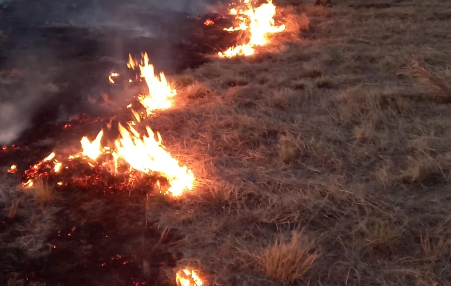 Fuego consume más de una hectárea del Bosque Urbano